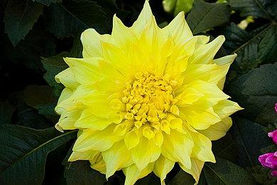 《毁灭战士：黑暗时代》全版本降价25%促销 Steam国区261元